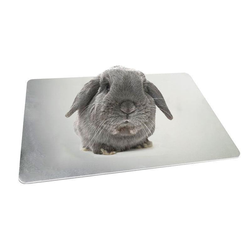 Aluminum Cooling Plate for Small Pets Beat the Heat - Pets Perfect