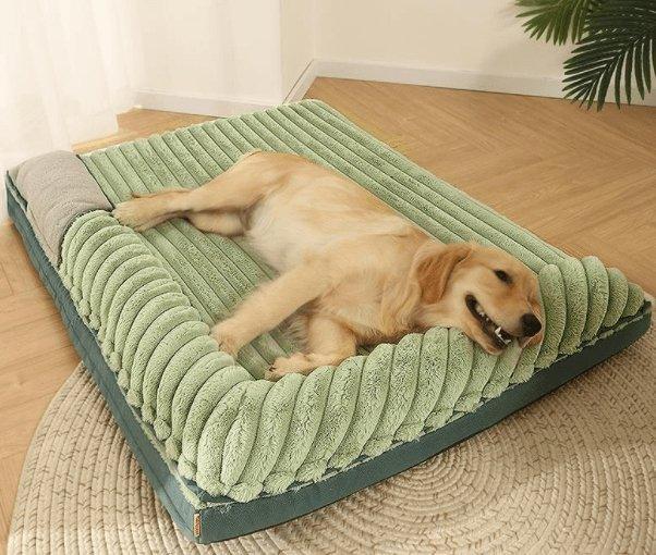Cozy Comfy Pet Haven - Pets Perfect