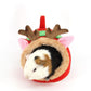 Cozy Cotton Haven For Small Pets - Pets Perfect
