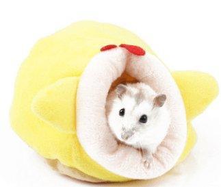 Colorful Cotton Nest for Small Pets Winter Warmth - Pets Perfect