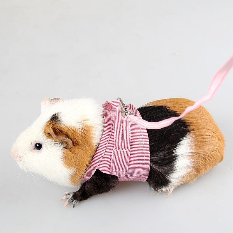 Cotton Leash for Small Pets Red & Blue Traction Rope - Pets Perfect