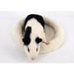 Cozy Critter Comfort Mat - Pets Perfect