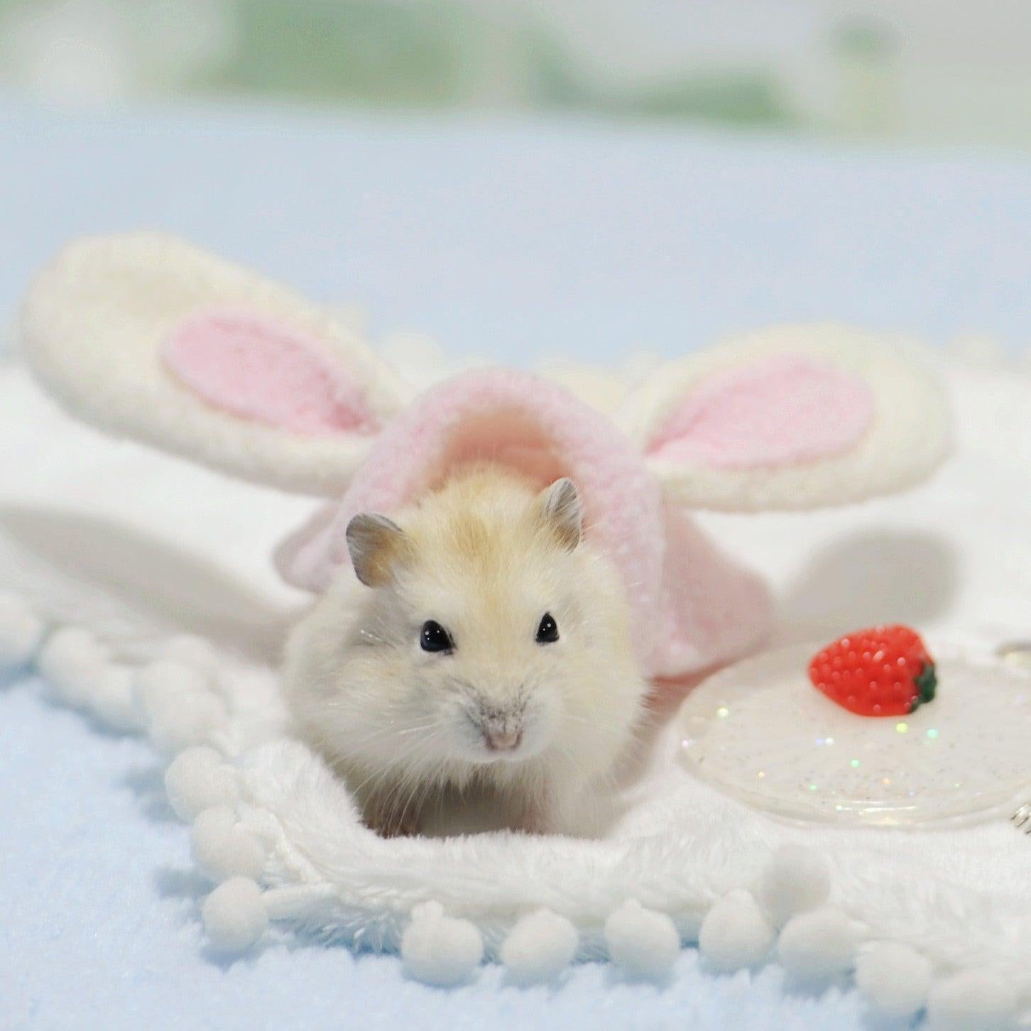 Small Pet Costumes - Hamster Dress Up Outfits.