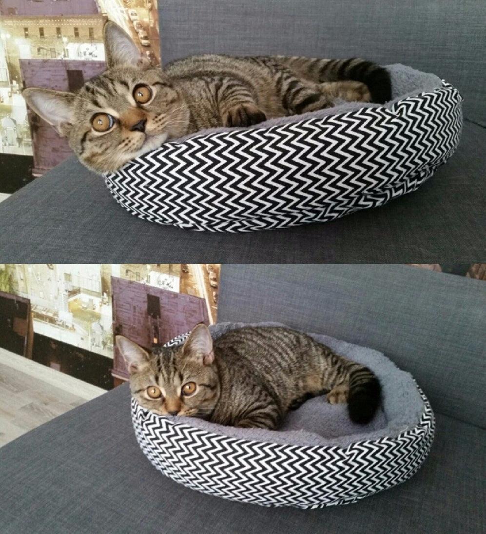 Cozy Haven Pet Nest - Pets Perfect
