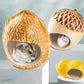 Ceramic Hamster Hideout - Nutshell Nest for Small Pets.