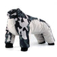 Cozy Paws Winter Dog Jacket - Cotton Clothes in 5 Vibrant Colors - Pets Perfect