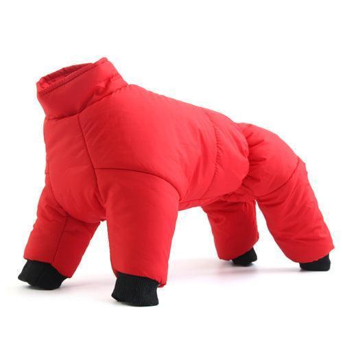 Cozy Paws Winter Dog Jacket - Cotton Clothes in 5 Vibrant Colors - Pets Perfect