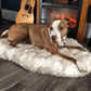 Cozycanine Plush Dog Bed - Luxurious Beige Mat For Restful Pet Sleep - Pets Perfect