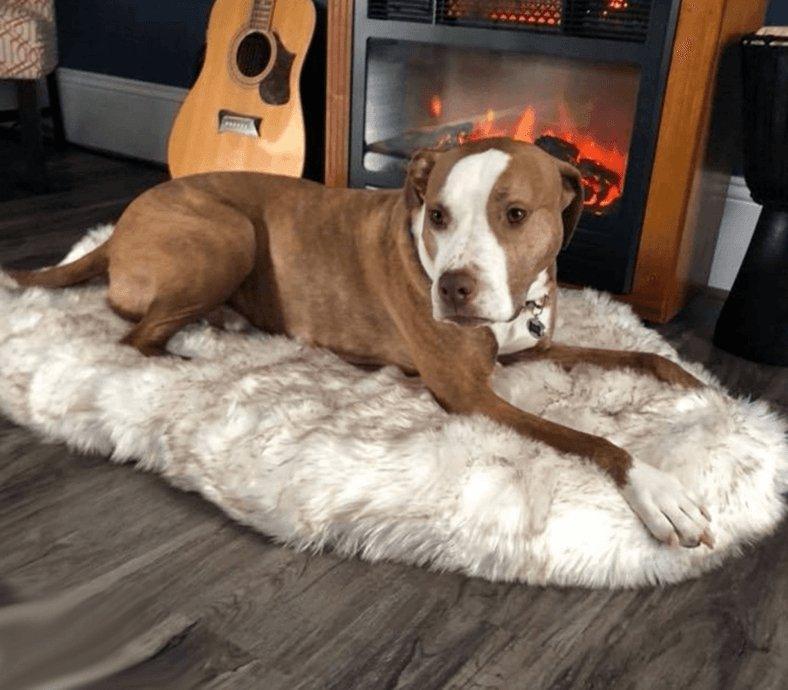 Cozycanine Plush Dog Bed - Luxurious Beige Mat For Restful Pet Sleep - Pets Perfect