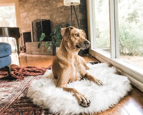 Cozycanine Plush Dog Bed - Luxurious Beige Mat For Restful Pet Sleep - Pets Perfect
