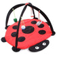 Cozycat Foldable Cartoon Cat Play Tent Hammock: The Ultimate Cat Haven - Pets Perfect