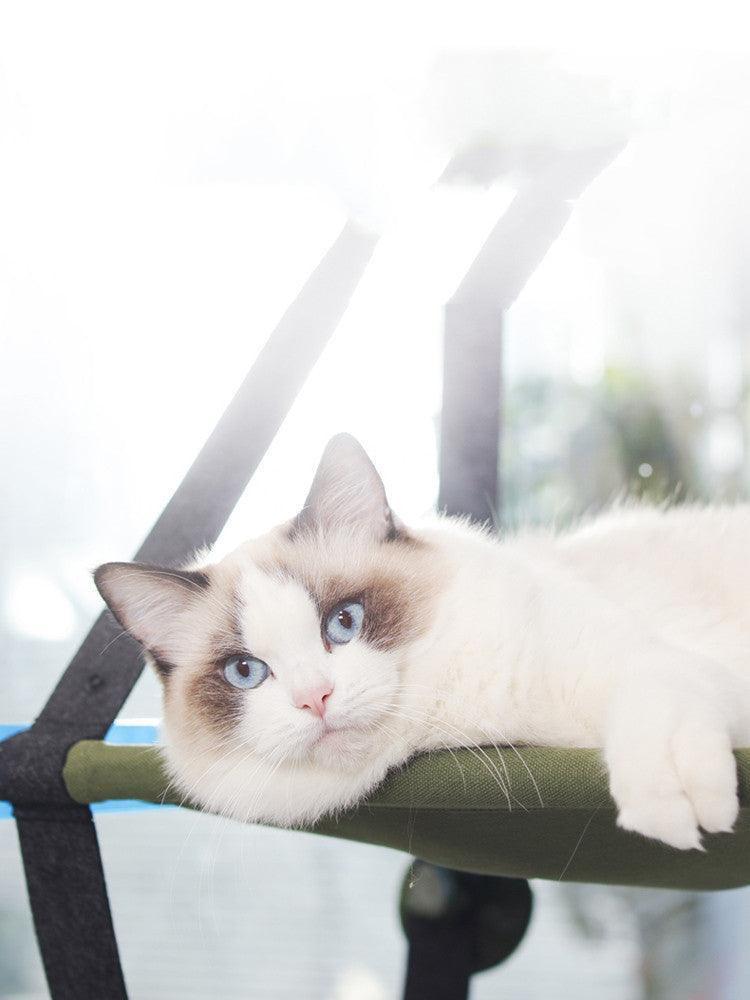 Cozycat Window Perch - The Ultimate Hangout Spot For Your Feline Friend - Pets Perfect