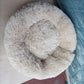 Cozypaws Pet Haven - Pets Perfect