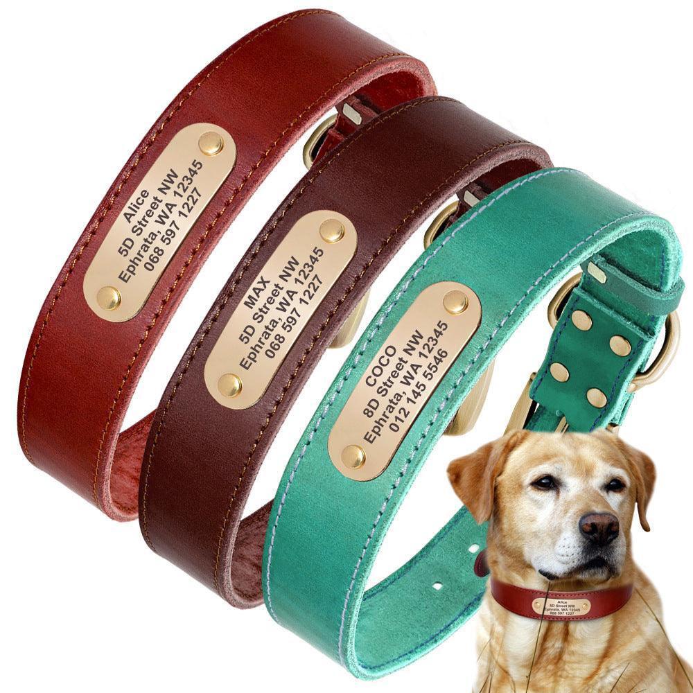 Custom Engraved Leather Dog Collar with Golden Nameplate - Personalized ID Collar for Dogs