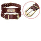 Custom Engraved Leather Dog Collar with Golden Nameplate - Personalized ID Collar for Dogs