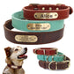 Custom Engraved Leather Dog Collar with Golden Nameplate - Personalized ID Collar for Dogs