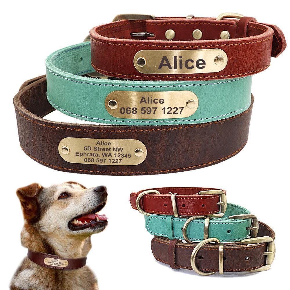 Custom Engraved Leather Dog Collar with Golden Nameplate - Personalized ID Collar for Dogs