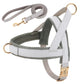 Customizable No-Pull Dog Harness and Leash Set - Complete Walking Solution