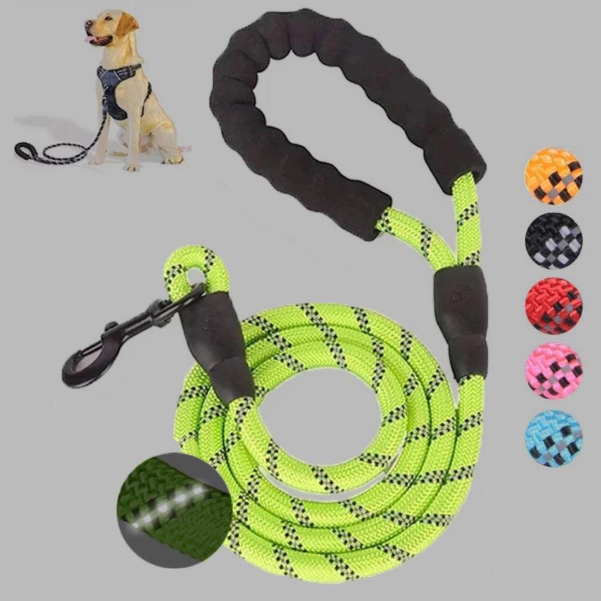 Luminous Reflective Strong Dog Leash - Pets Perfect