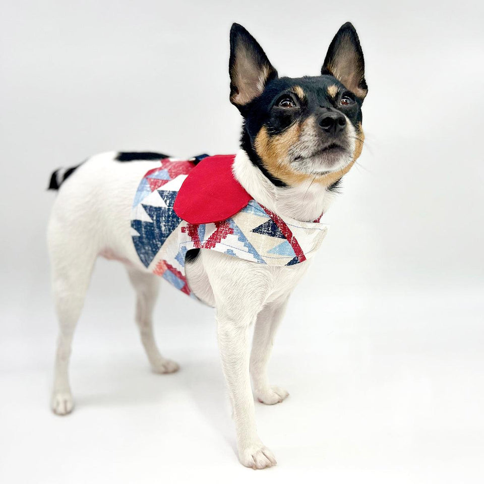 DCNY “Americana” Vest-Style Dog Harness, XXS