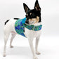 DCNY “Paisley Paws" Harness Vest - Pets Perfect