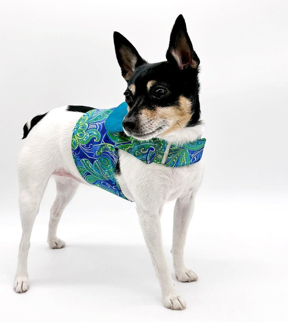 DCNY “Paisley Paws" Dog Harness Vest, MD, view 4