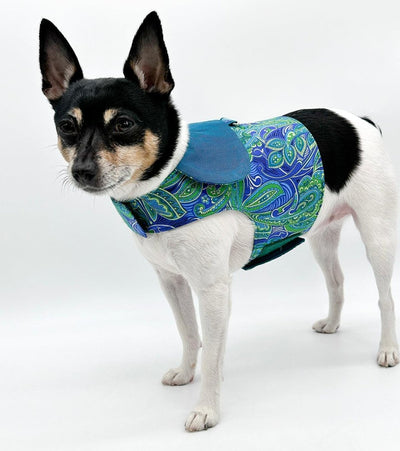 DCNY “Paisley Paws" Dog Harness Vest, XXS