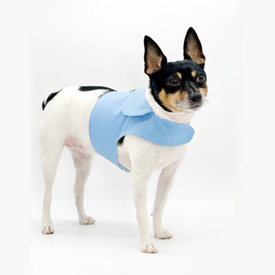 DoggieCoutureNY Periwinkle Canvas Harness Vest, XXS