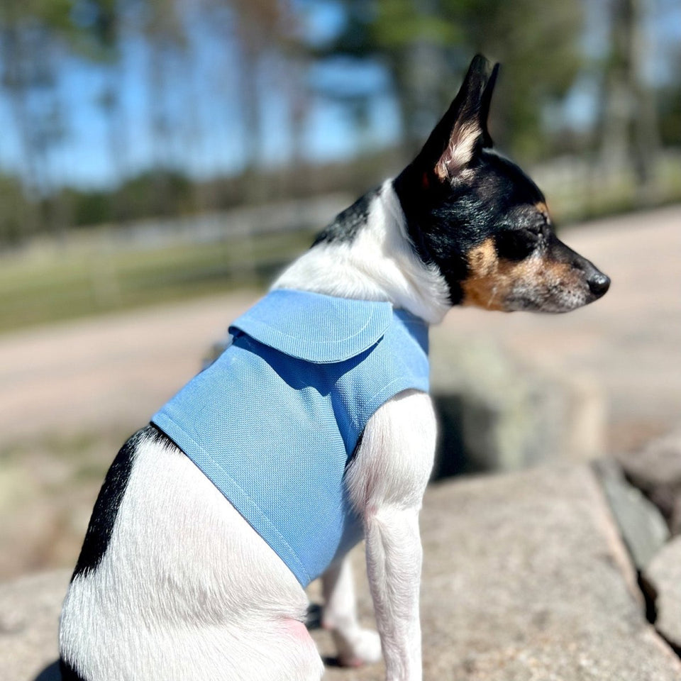 DoggieCoutureNY Periwinkle Canvas Harness Vest, SM, view 3