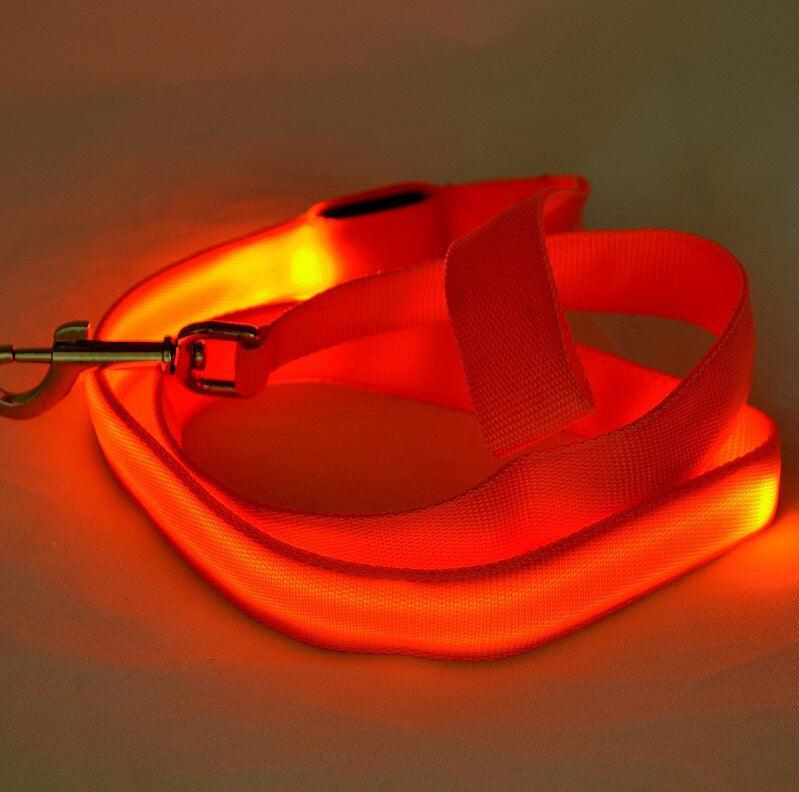 Glowing Pet Leash - Illuminated Led Dog Leash - Pets Perfect
