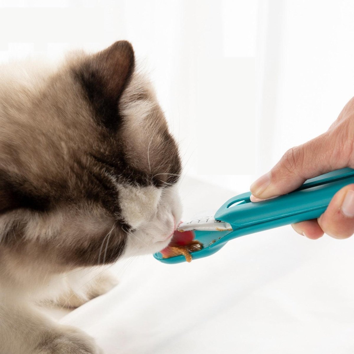 Deluxe Cat Strip Spoon Feeder: The Ultimate Pet Feeding Tool - Pets Perfect
