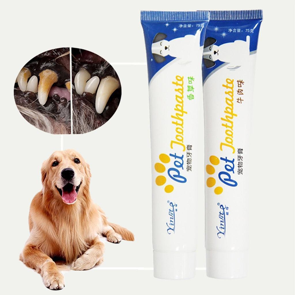 Dog Toothpaste - Pets Perfect