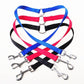 Double Trouble Dog Leash: Walk Your Puppies In Sync - Pets Perfect