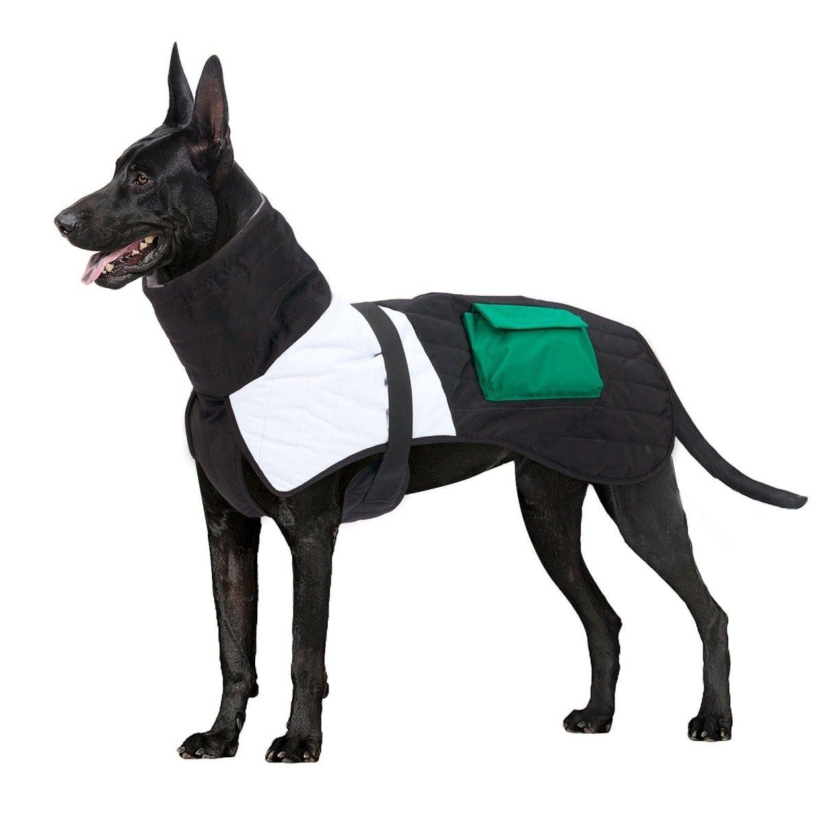 Winter Wonderland Dog Padded Coat - Ins Style Cotton Jacket - Pets Perfect