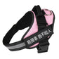 Ultimate Pet Adventure Set: Adjustable Chest Harness With Dog Leash - Pets Perfect