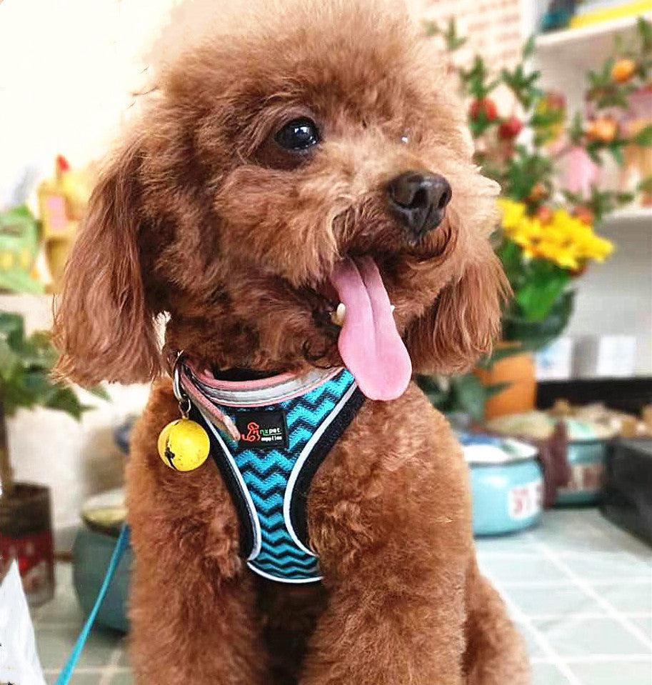 Reflective Stroke Prevention Pet Harness With Leash - Pets Perfect