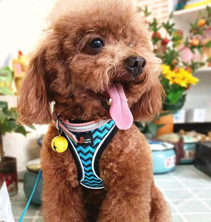 Reflective Stroke Prevention Pet Harness With Leash - Pets Perfect