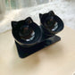 Elevated Non - Slip Double Cat Bowl With 15° Tilted Design - Pets Perfect