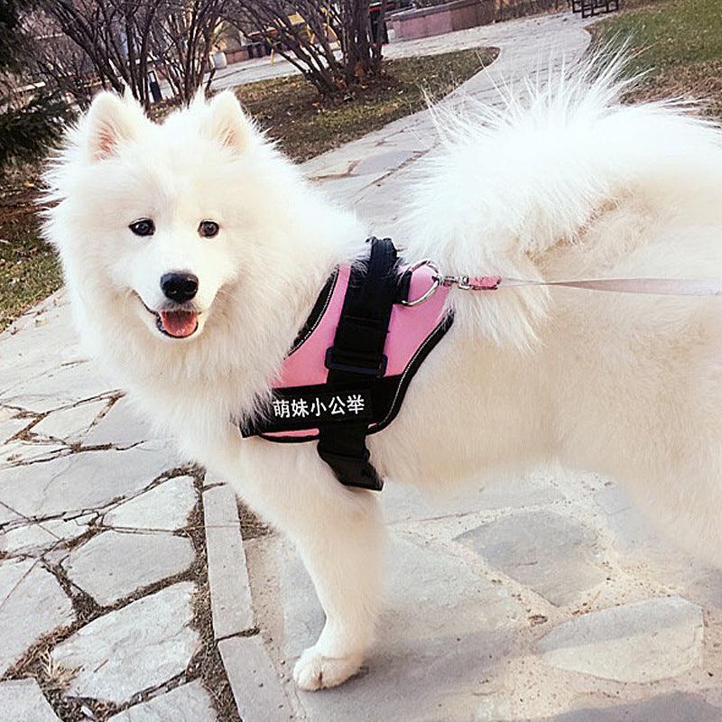 Ultimate Pet Adventure Set: Adjustable Chest Harness With Dog Leash - Pets Perfect