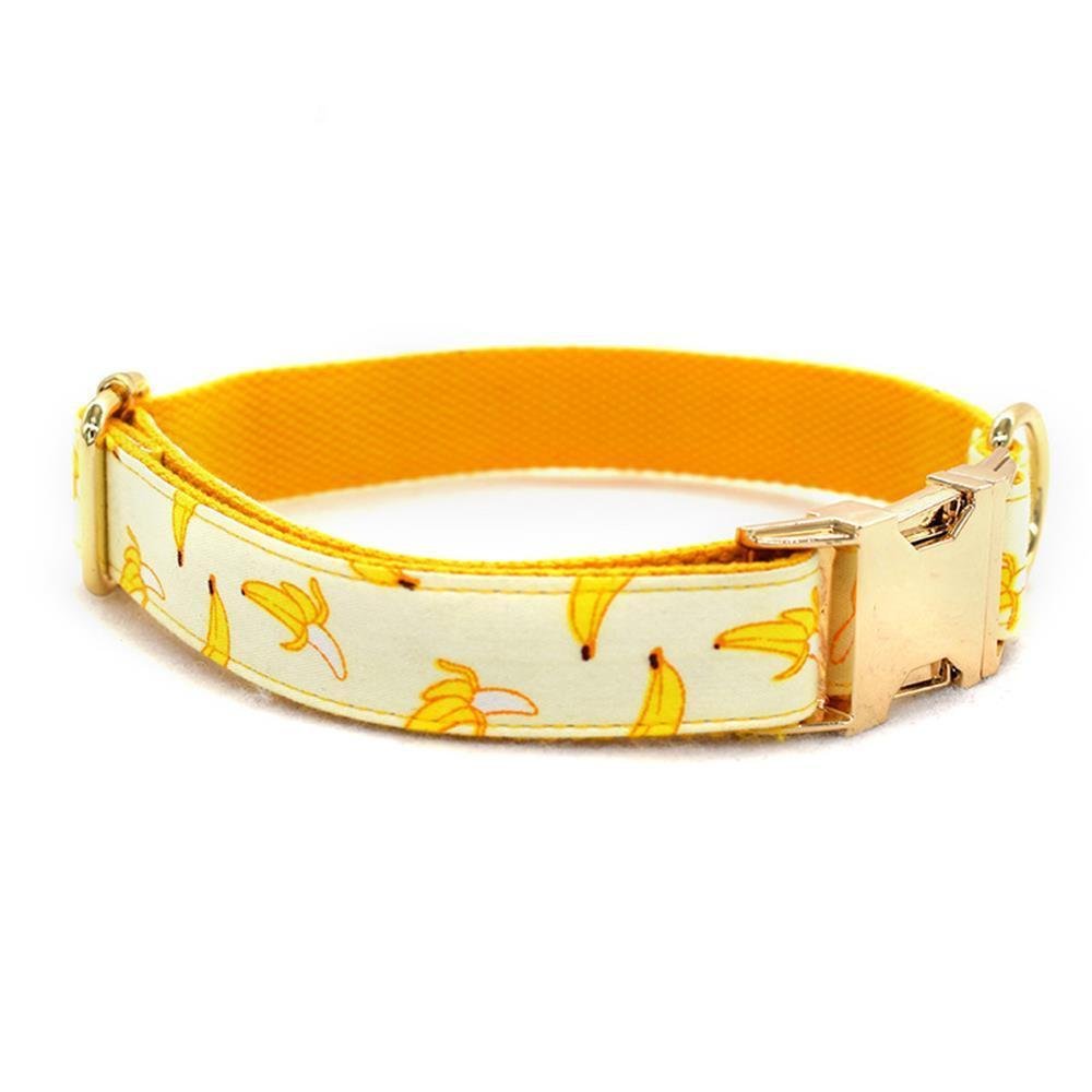 Patterned Dog Collar - Fruit Design with Metal Buckle - Pets Perfect
