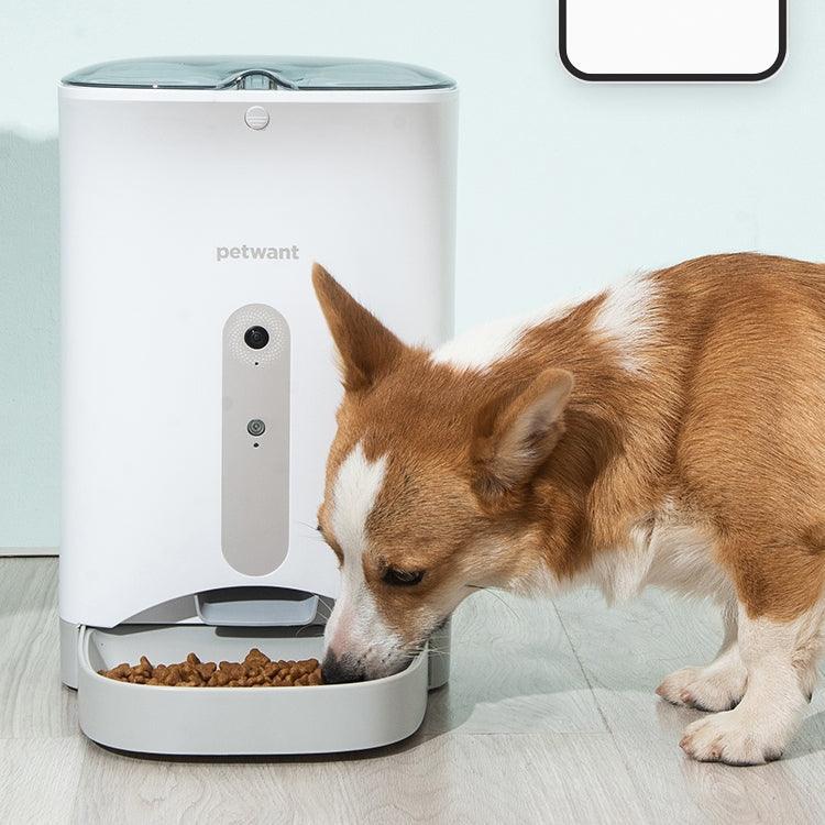 Smartpaws Automatic Pet Feeder - Intelligent Food Monitoring And Remote Control - Pets Perfect