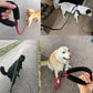 Luminous Reflective Strong Dog Leash - Pets Perfect