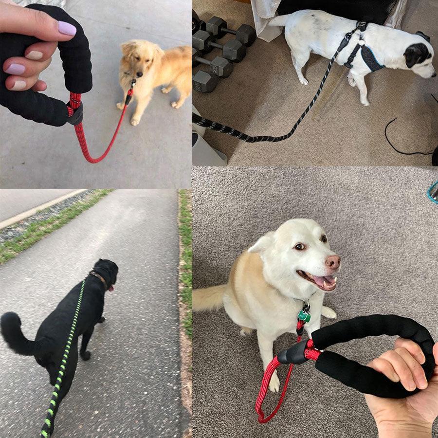 Luminous Reflective Strong Dog Leash - Pets Perfect