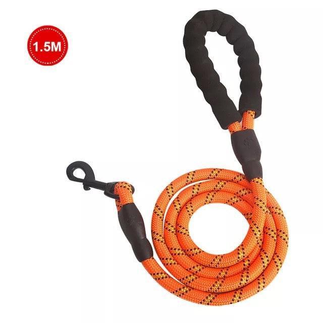 Luminous Reflective Strong Dog Leash - Pets Perfect