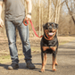 Coastal DoublePly Nylon Traffic Dog Leash Red, 1ea/1 In X 24 in - Pets Perfect