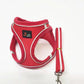 Reflective Stroke Prevention Pet Harness With Leash - Pets Perfect