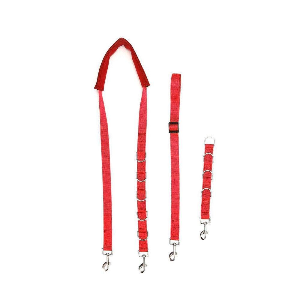 Dog Hugs Cat SecureGroom Adjustable Dog Grooming Belly Strap - Bathing Restraint with D - Rings - Pets Perfect