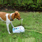 Intelligent Dog Water Fountain: The Ultimate Outdoor Hydration Solution For Your Pup