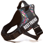 Explosafe Pet Leash: The Ultimate Safety Harness For Your Furry Friend - Pets Perfect