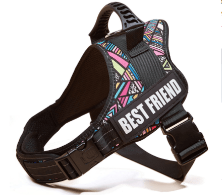 Explosafe Pet Leash: The Ultimate Safety Harness For Your Furry Friend - Pets Perfect